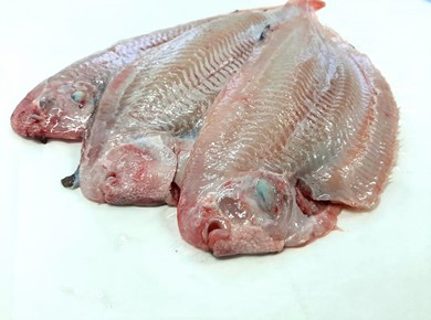 1 stuk a 600 gr verse Noordzee tong (tonglappen) bevroren