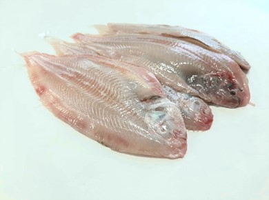 1 kilo verse Noordzee Sliptong per stuk vacuüm verpakt