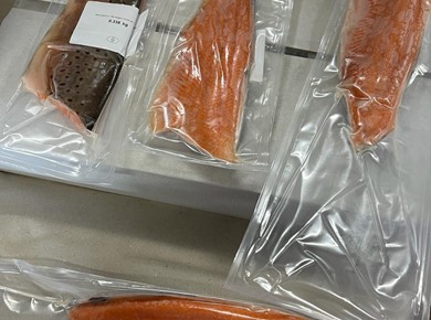 2,5 kg Noorse meerforel filet 