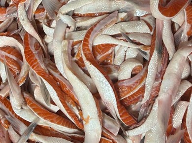 10 kilo wilde Sockeye zalmbuikjes Diepvries